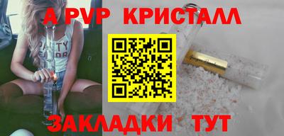 крисы Кингисепп