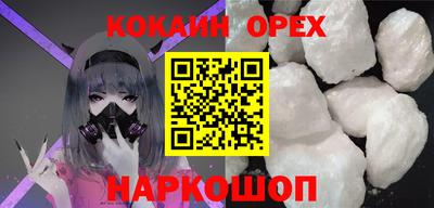 крисы Кингисепп