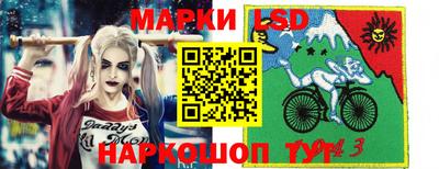 крисы Кингисепп