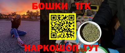 крисы Кингисепп