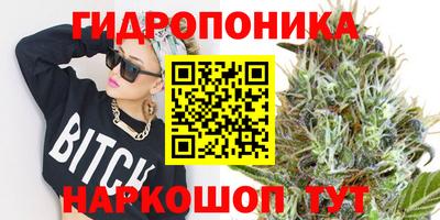 тгк Кимры