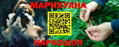 крисы Кингисепп