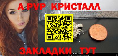 крисы Кингисепп