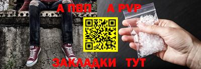 крисы Кингисепп