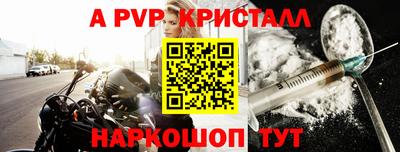 крисы Кингисепп